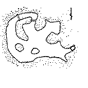 ���C��