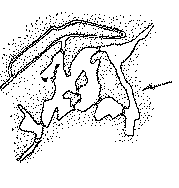�j���{