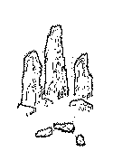 ����̒뉀(1)