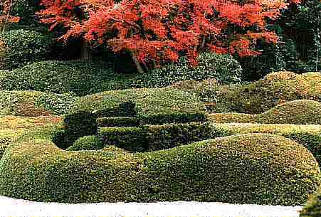 ������