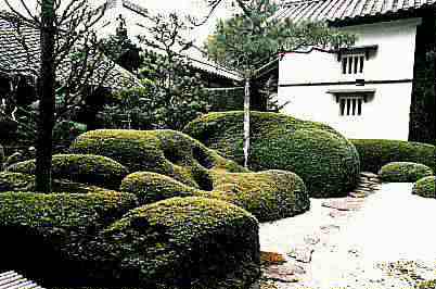 ���늠�荞��