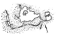 ���ΐ��y��