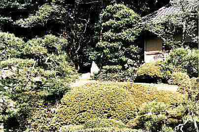 ����O��