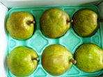 ���E�t�����X2kg���l