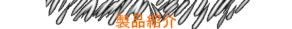 ���i�Љ�